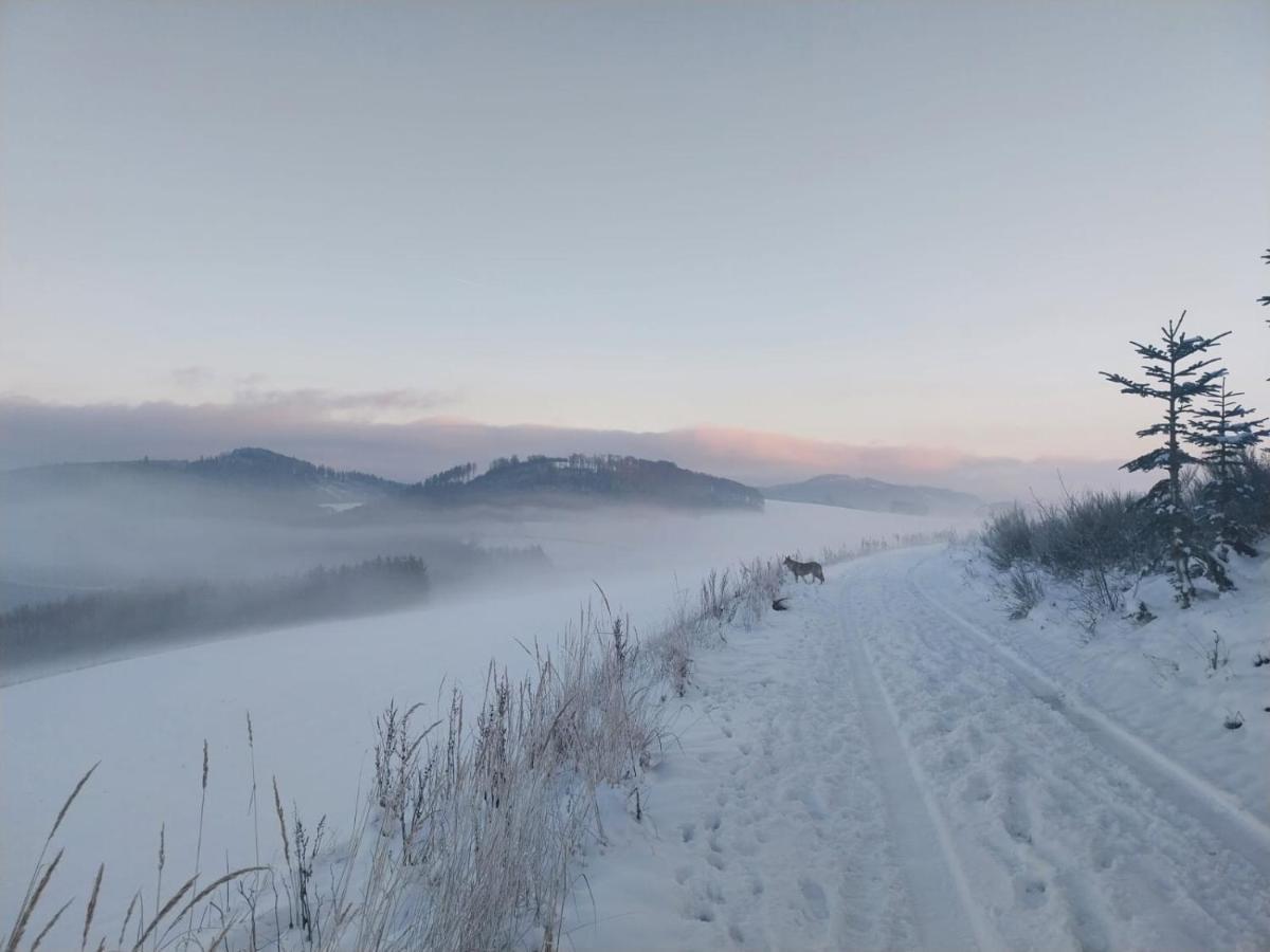 Ferienhaus Lena Im Sauerland Direkt Am Hennesee Мешеде Екстер'єр фото