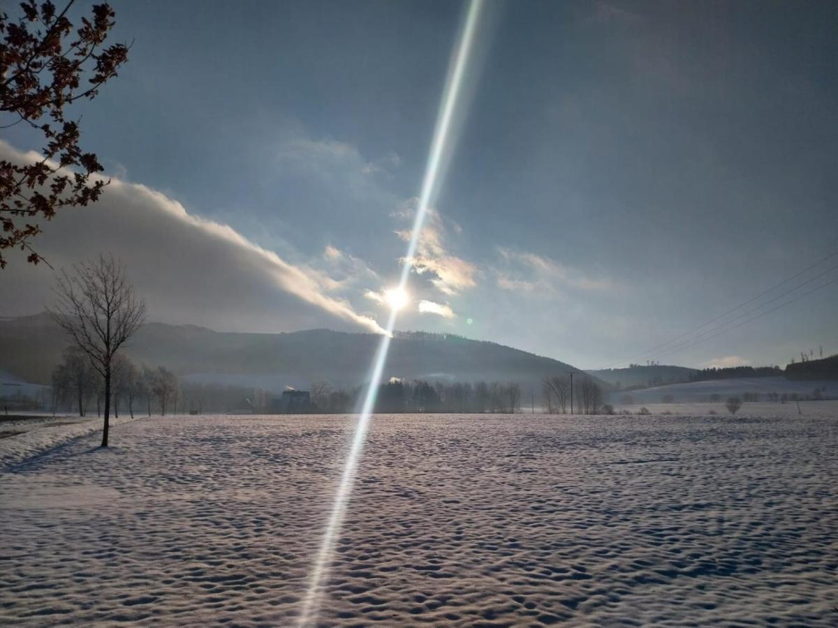 Ferienhaus Lena Im Sauerland Direkt Am Hennesee Мешеде Екстер'єр фото