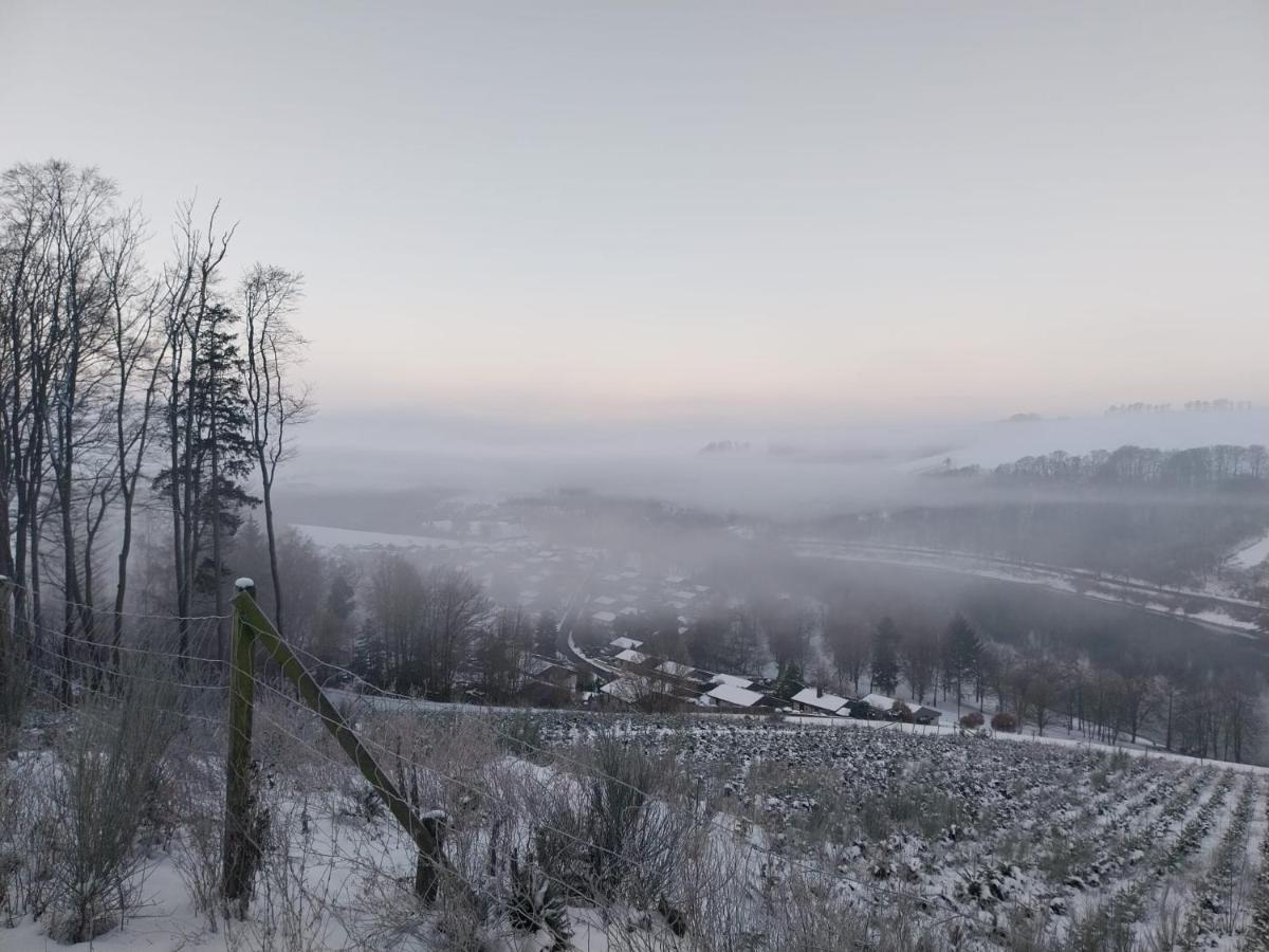 Ferienhaus Lena Im Sauerland Direkt Am Hennesee Мешеде Екстер'єр фото
